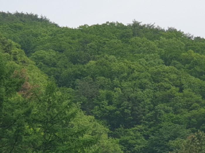 목록2
