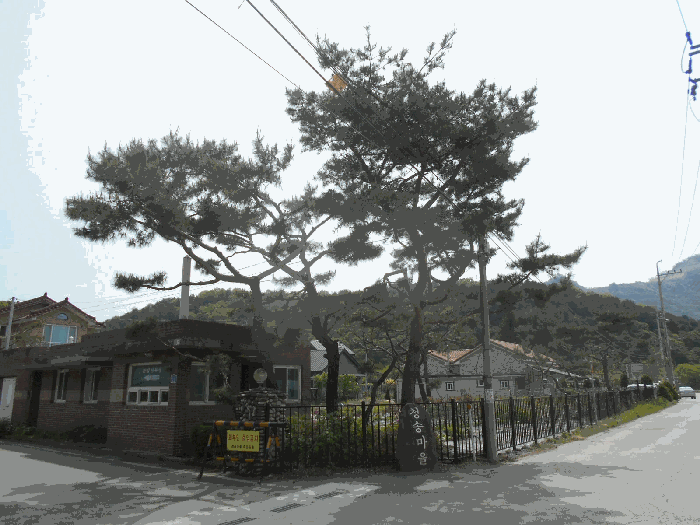 6.기호2 소재 수목