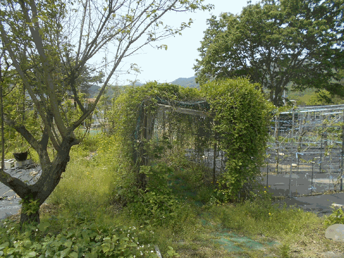 9.기호 3 소재 식물지지대2