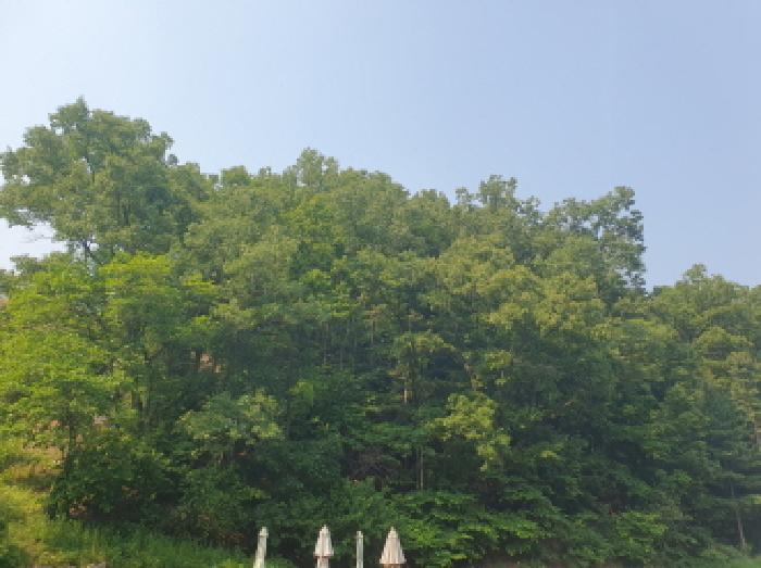 목록1