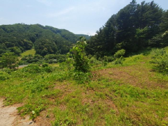 목록3