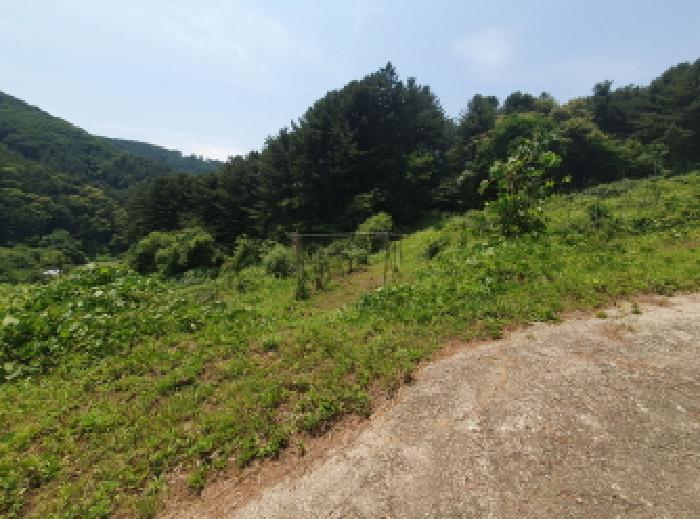 목록3