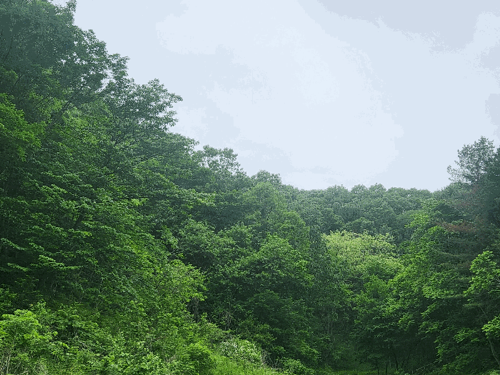 본건 전경