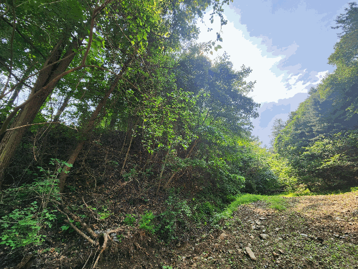 본건 전경