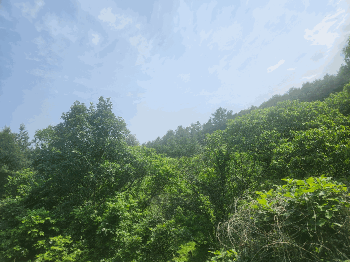 본건 전경