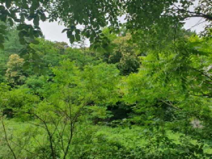 목록1
