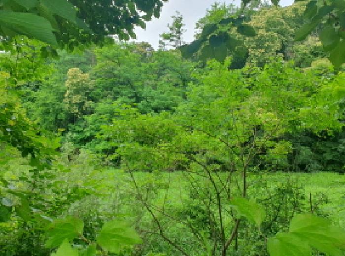 목록1