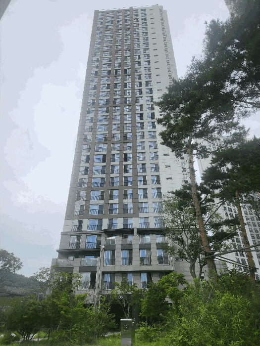 본건 동 전경