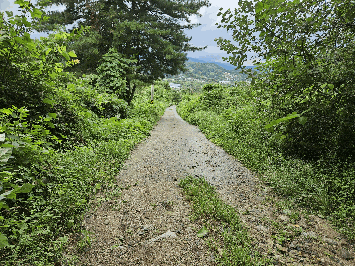 본건 남측 인근 도로