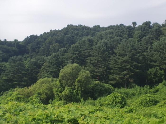 목록1