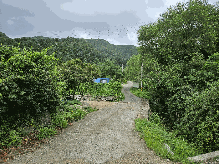 주변 전경
