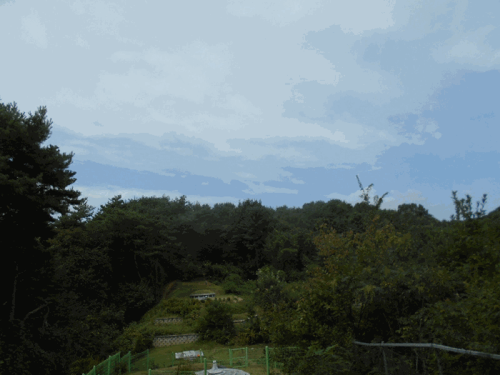 1.본건