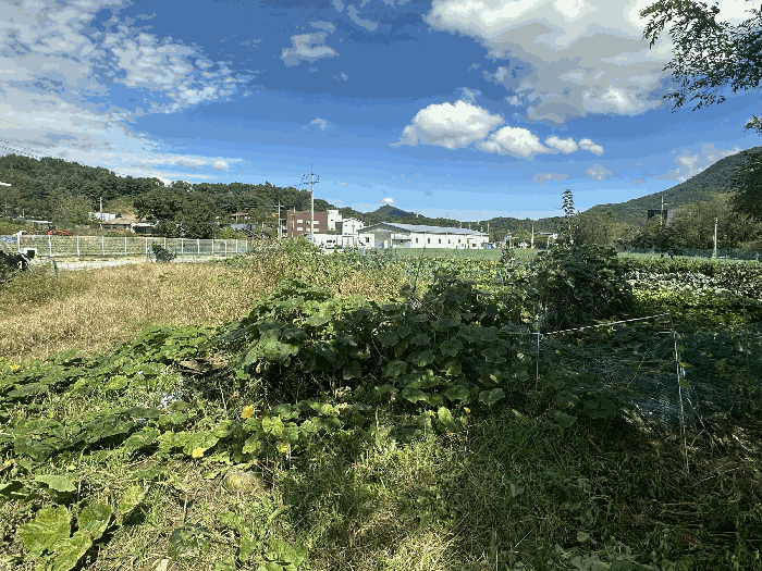 본건 전경2