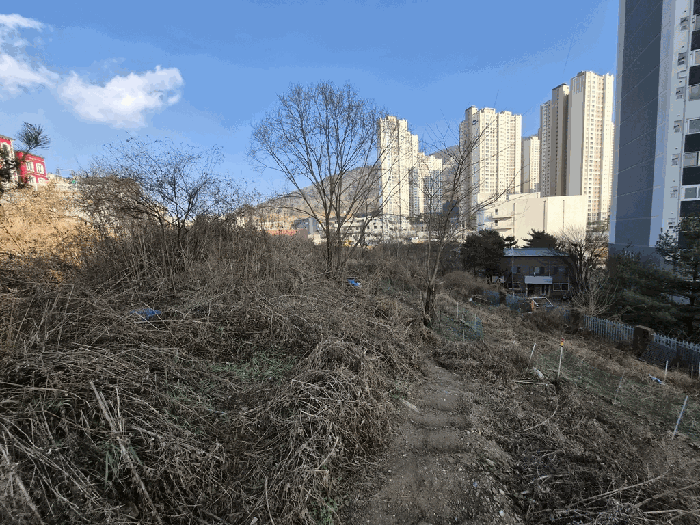 일련번호 (1) 전경