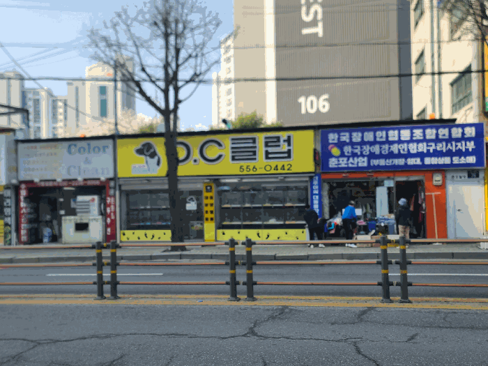 본건 전면